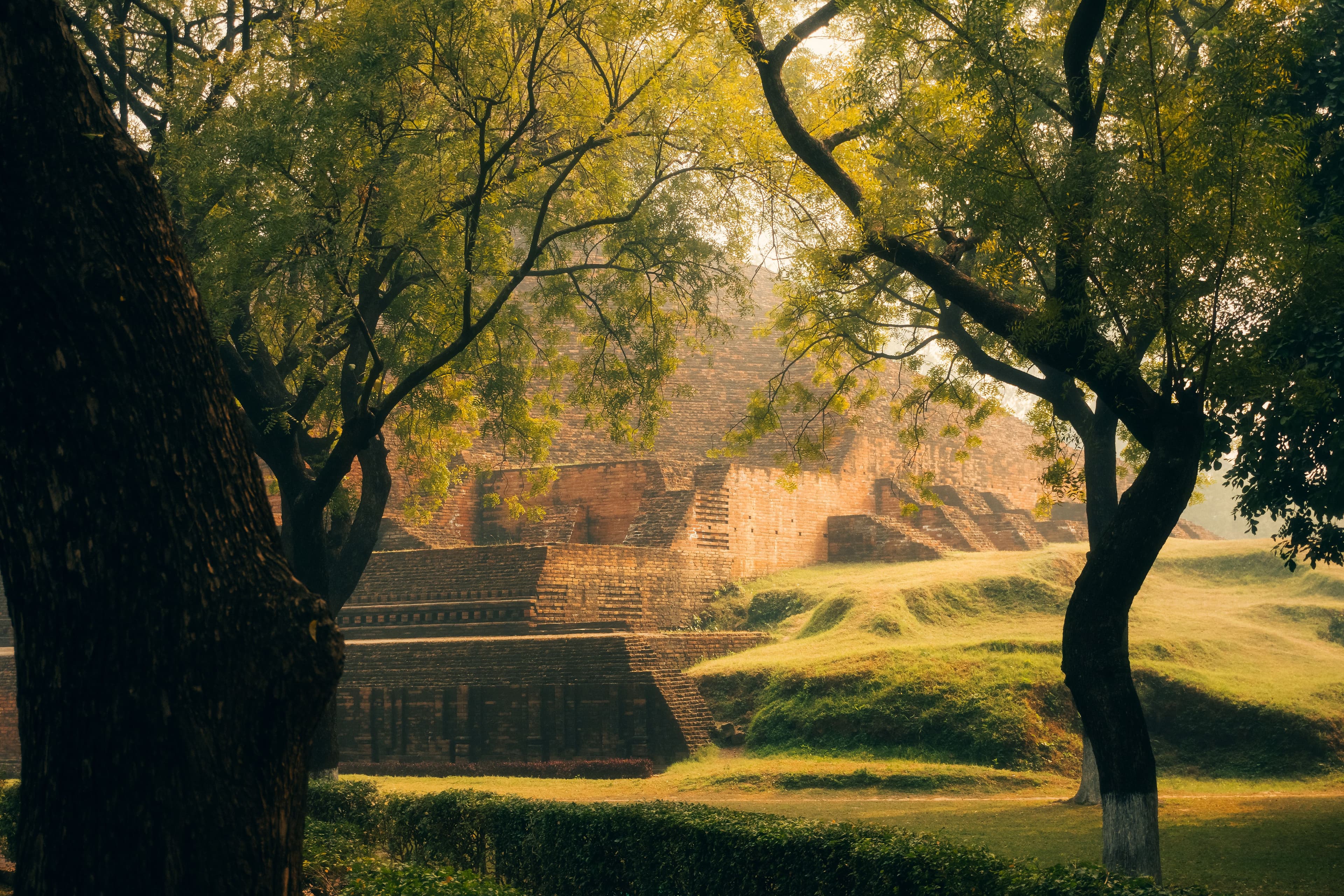 Ancient brick meditation halls beneath mature trees